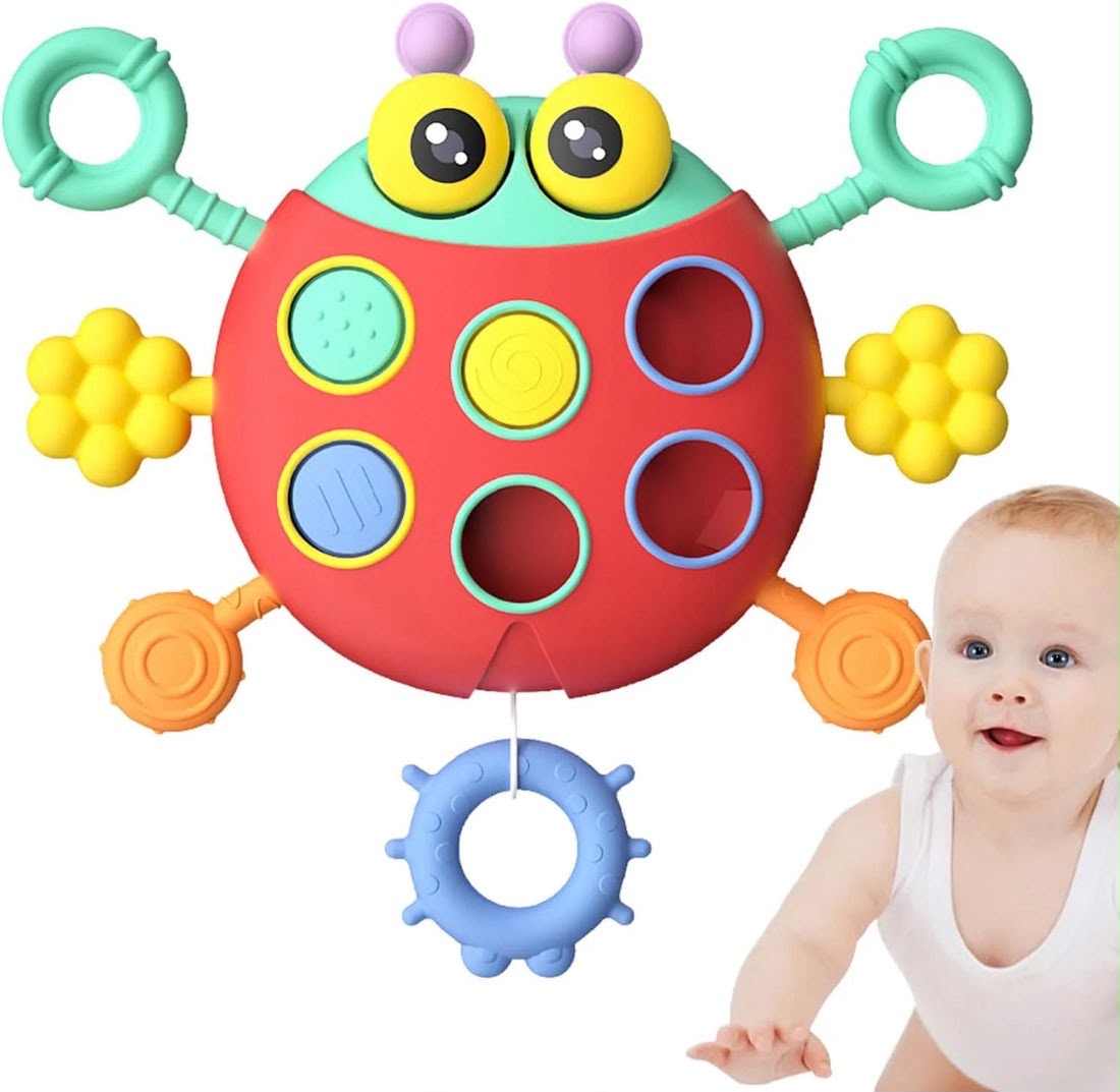 Ladybug Pull String Sensory Activity Play Toy