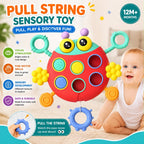 Ladybug Pull String Sensory Activity Play Toy