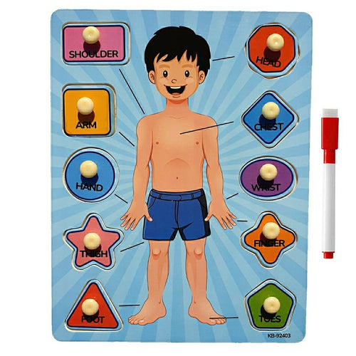 2 in 1 Human Body Knob Double Sided Board with Writing Activity