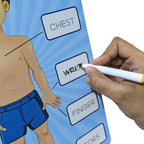 2 in 1 Human Body Knob Double Sided Board with Writing Activity