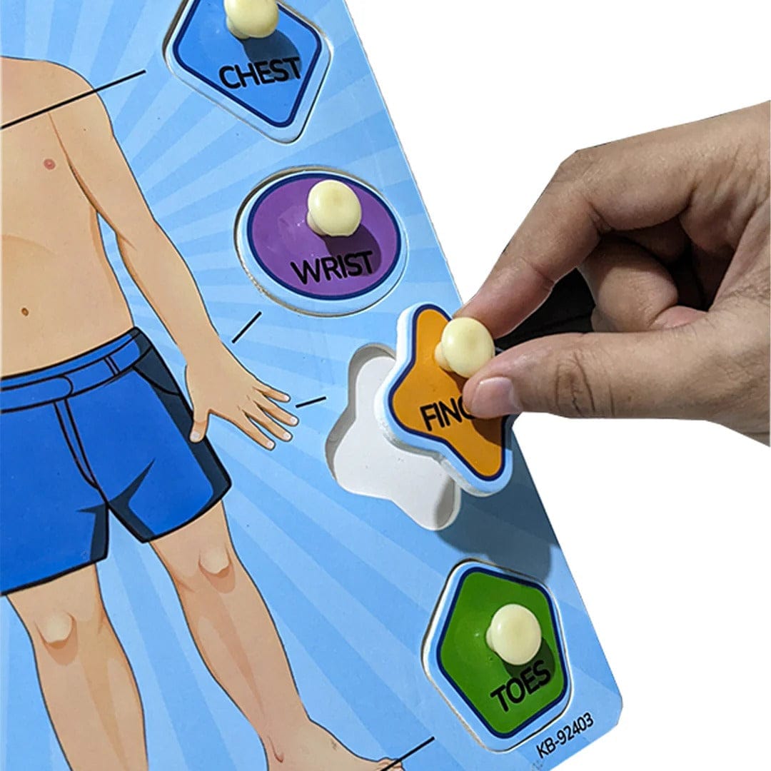 2 in 1 Human Body Knob Double Sided Board with Writing Activity