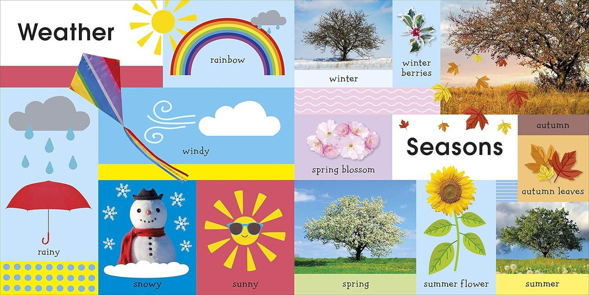 DK 100 Things to Know – Board Book