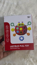 Ladybug Pull String Sensory Activity Play Toy